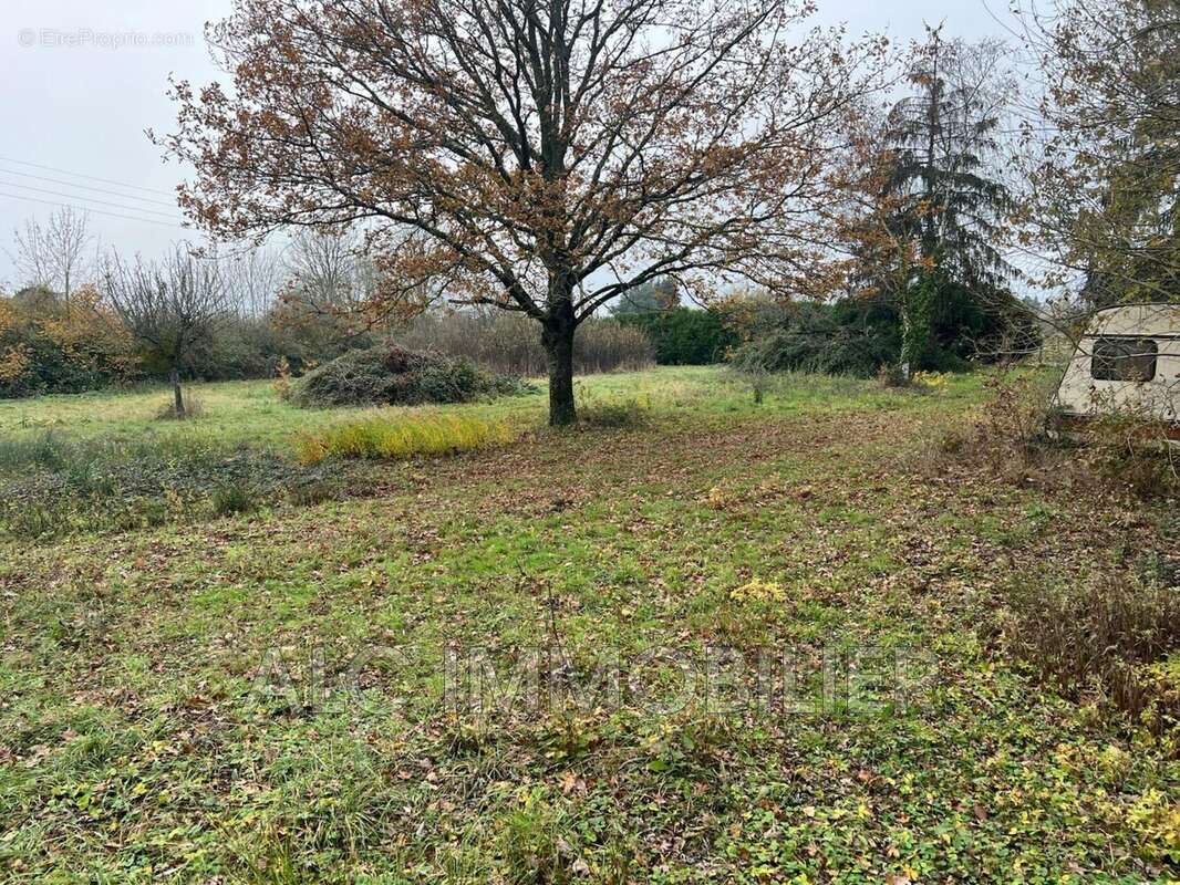 Terrain à CHAMPFLEUR