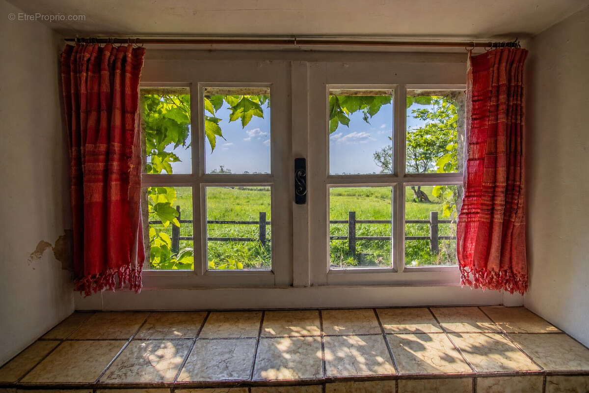 Maison au coeur des marais - 173 m² - Environnement calme et paisible - photo 12