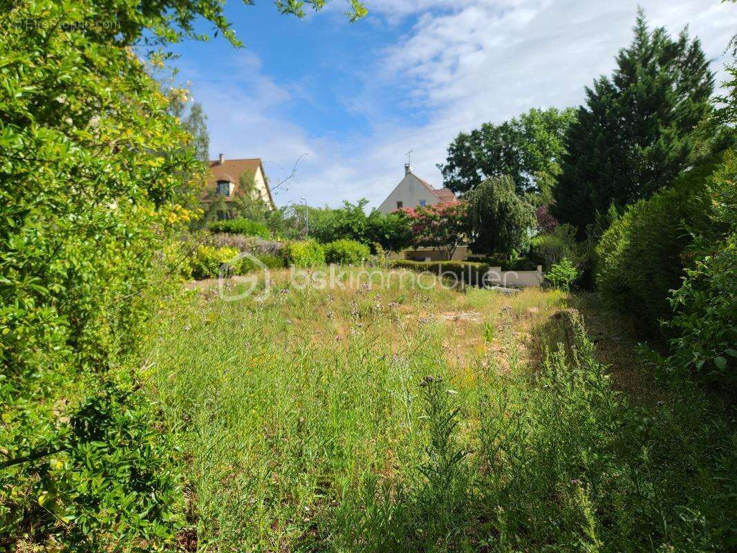 Terrain constructible de 1015m2 - photo 4