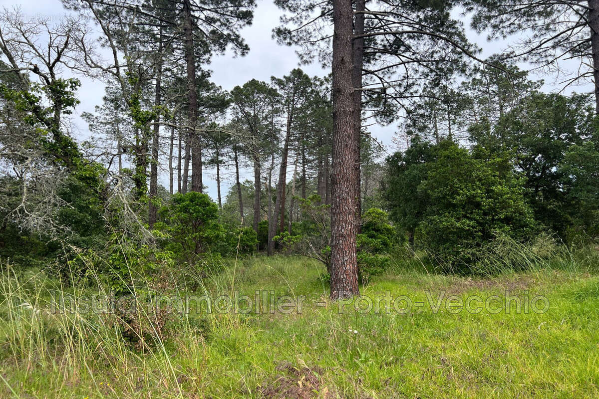 Maison 136 m² à Porto-Vecchio  - photo 2