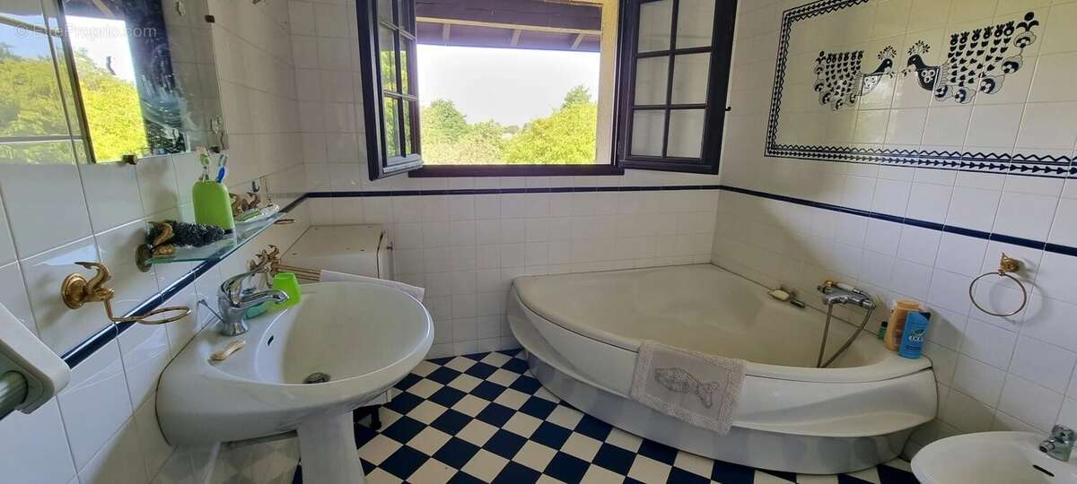 Ensemble immobilier maison de 265 m² hab avec dépendances  sur  1 Ha - photo 14