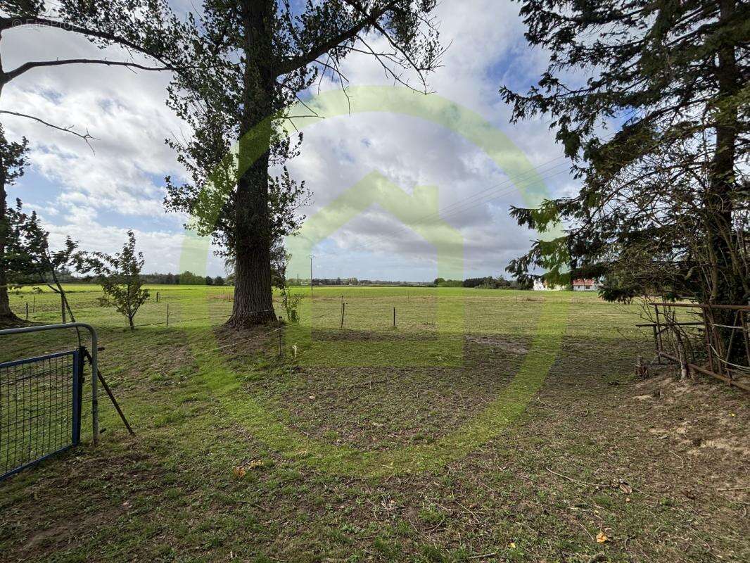 Maison à SAILLY-LEZ-LANNOY