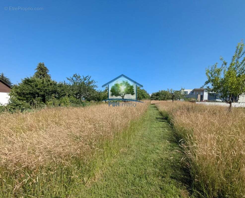 Maison à DOSSENHEIM-SUR-ZINSEL