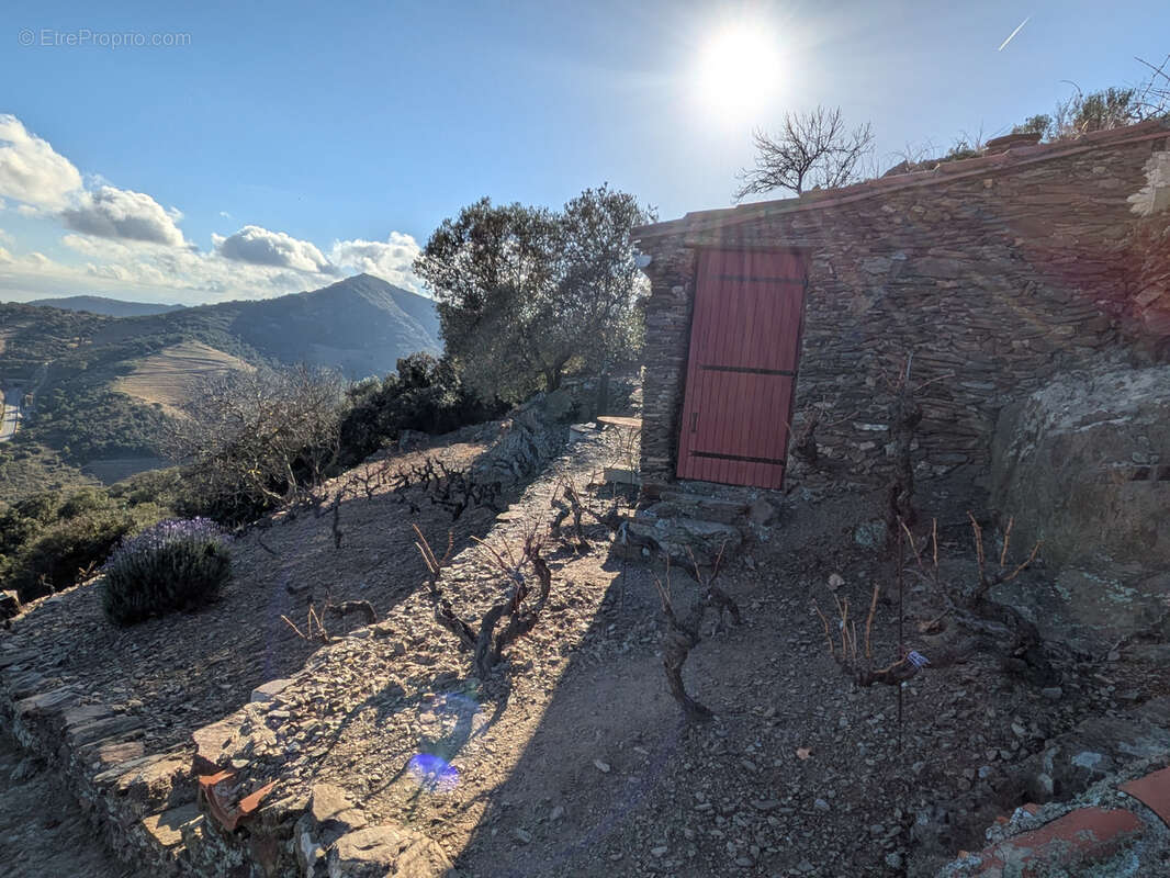Terrain à COLLIOURE