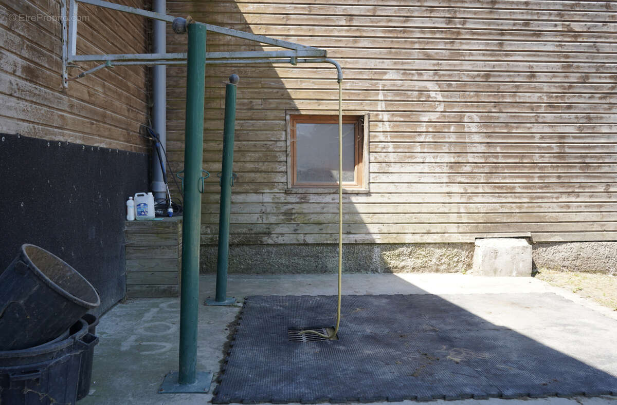 Haras du mas de meyrie - photo 7