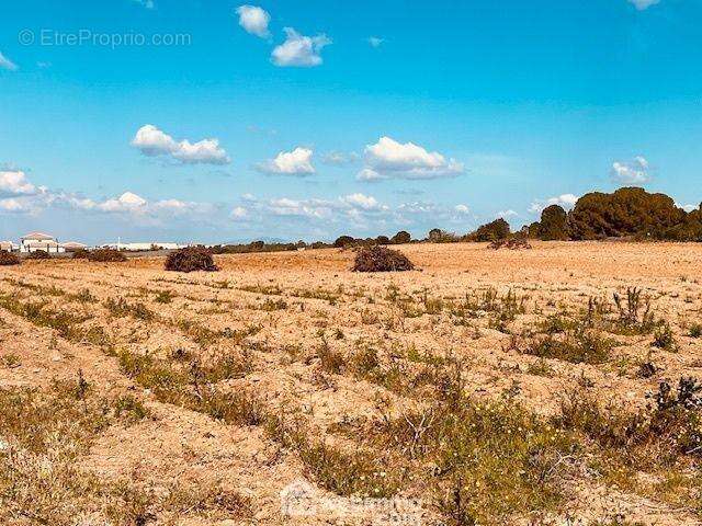 Terrain 1628 m² à Perpignan  - photo 29