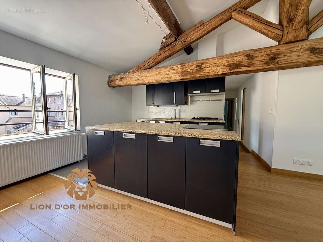 Appartement à NEUVILLE-SUR-SAONE
