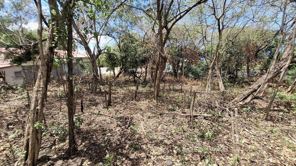 Terrain à BOUILLANTE