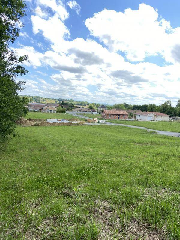 Terrain à CAUNEILLE