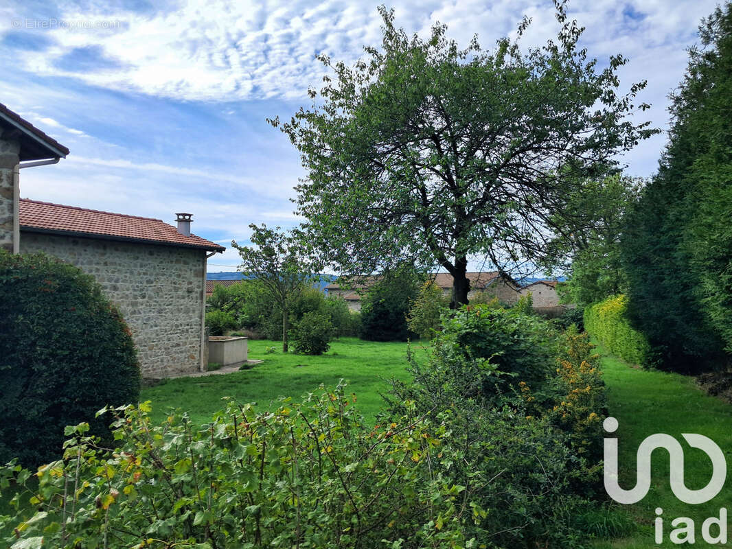 Photo 2 - Maison à SAINT-JULIEN-D'ANCE