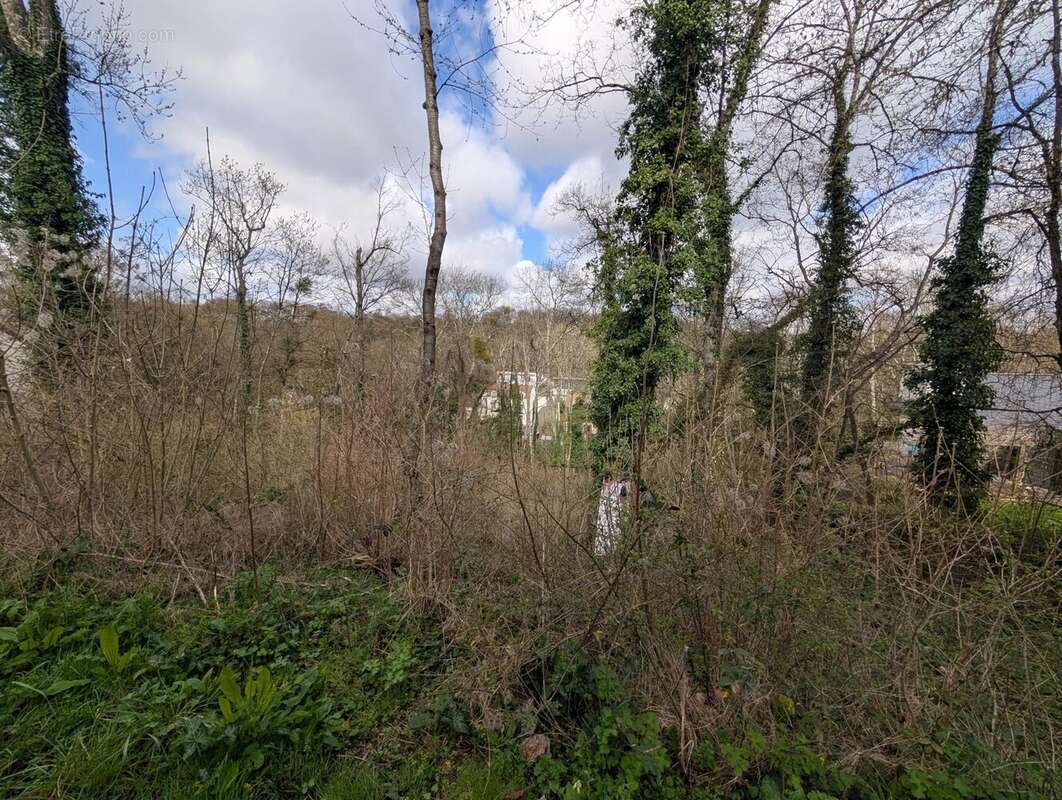 Terrain à FONTAINE-LE-PORT