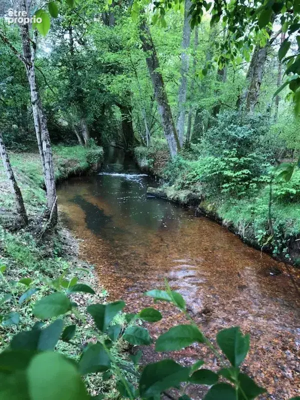 Magnifique propriété au coeur de la Sologne - photo 5