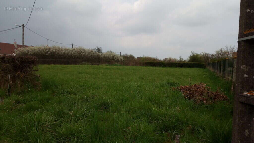 Terrain a la campagne proche Nevers - photo 3
