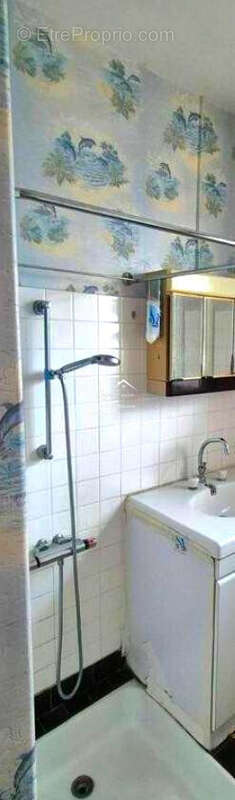 Maison à L&#039;ILE-BOUCHARD