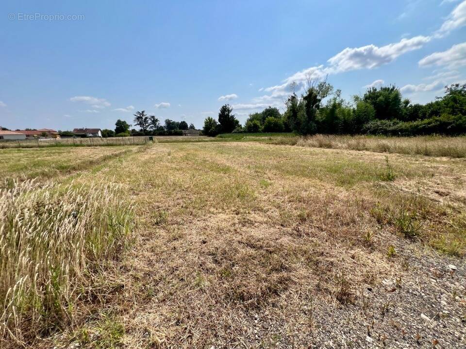 Terrain à REPLONGES
