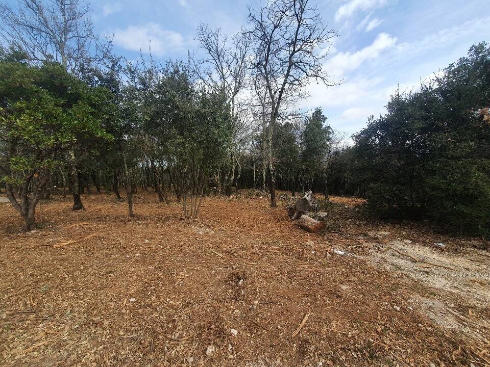 Terrain à LABASTIDE-DE-VIRAC