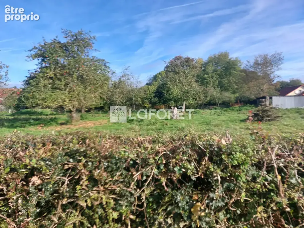 Terrain constructible 2300m² - photo 6