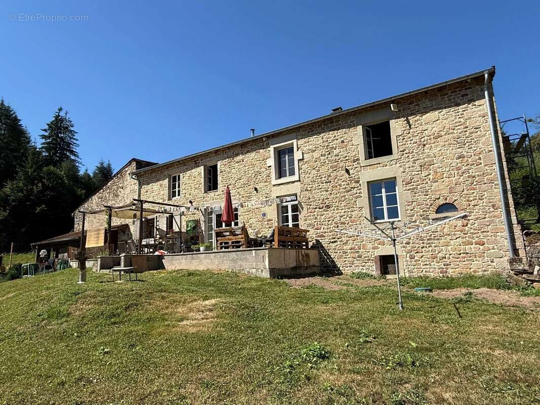 Moulin à laine ancien, entièrement rénové, en site préservé, plus de 8 hectares – Idéal MINI-CAMPING / B&B - photo 37