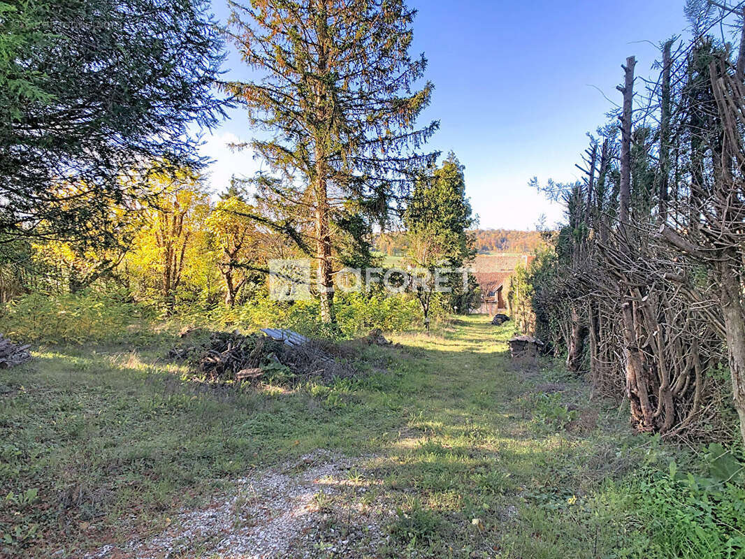 Maison à MONTOT-SUR-ROGNON
