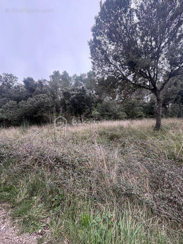 Terrain à LIAUSSON