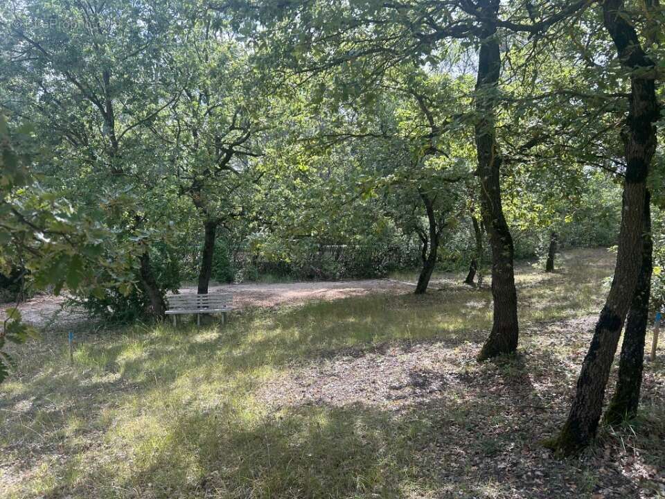 Terrain 640 m² à Greasque  - photo 5