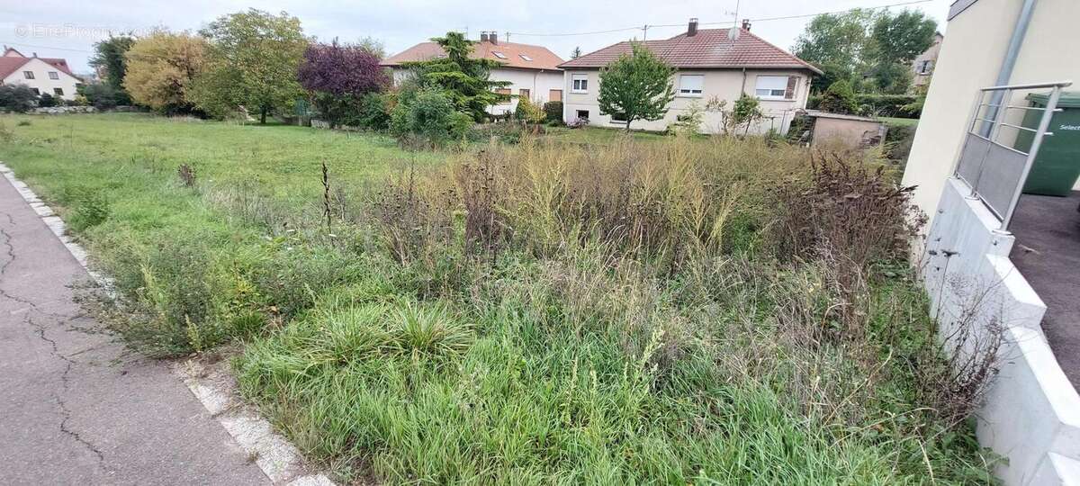 Terrain 493 m² à Westhoffen  - photo 4