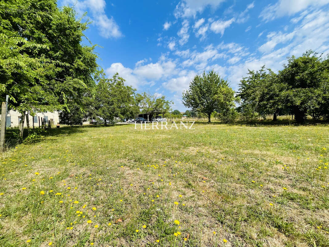 Double Maison en pierre, 270m2, 6 chambres, parc de 2600m2 - photo 13