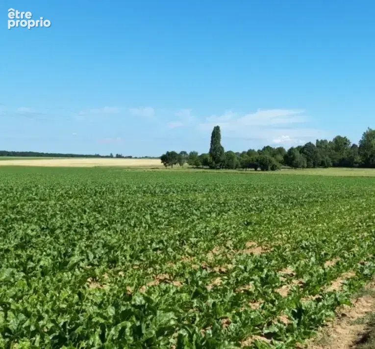 Terrain à MAREIL-LE-GUYON