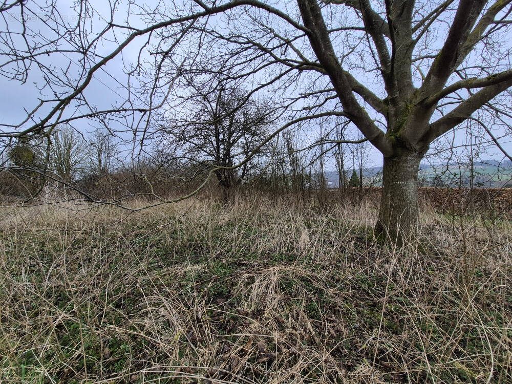 Terrain à AUMALE
