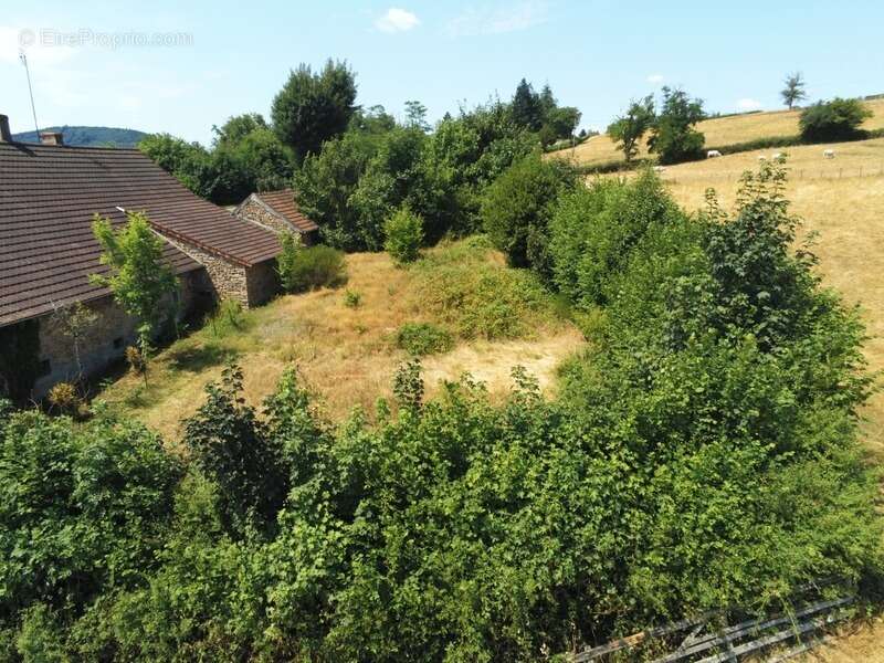 Maison à rénover 5 pièces / 110m² SUIN (71) Terrain de 4714m² - photo 12