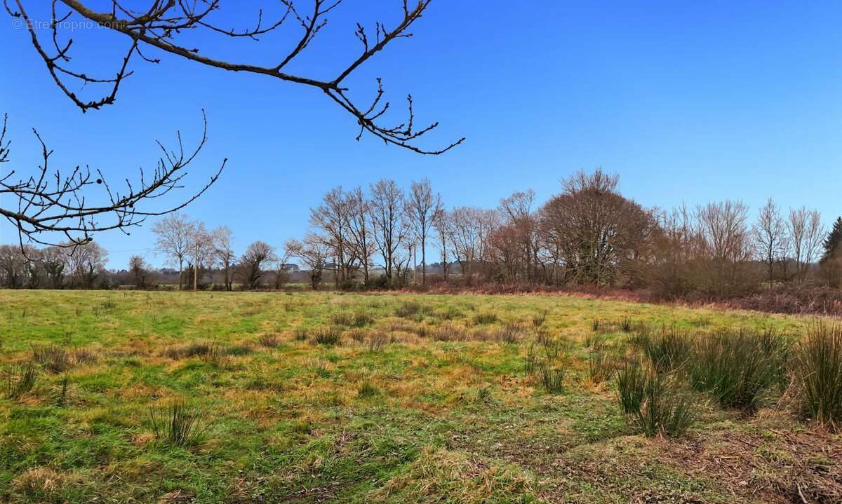 Maison à BAIN-DE-BRETAGNE