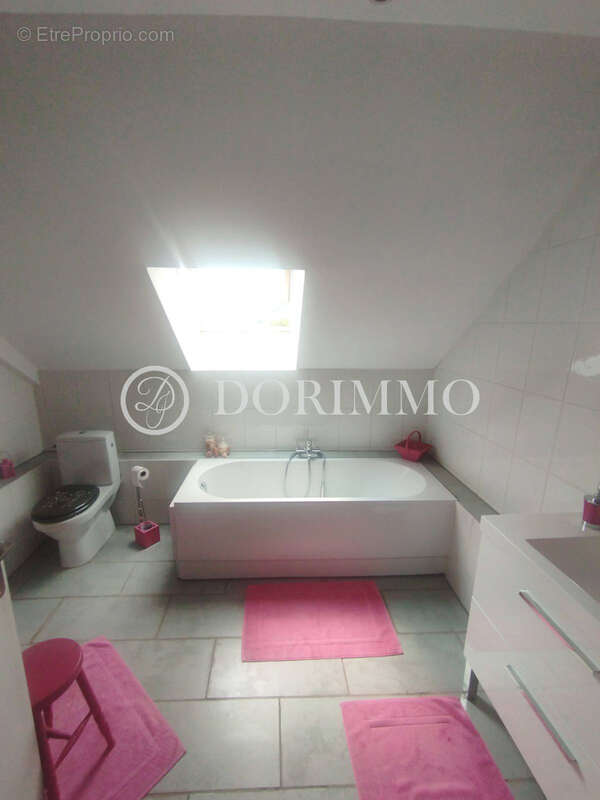 RARE Propriété équestre à fort potentiel avec pâture et carrière ! - photo 10