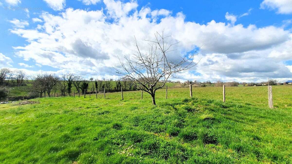 Grange a transformer avec pres de 4 ha de terrain - photo 10