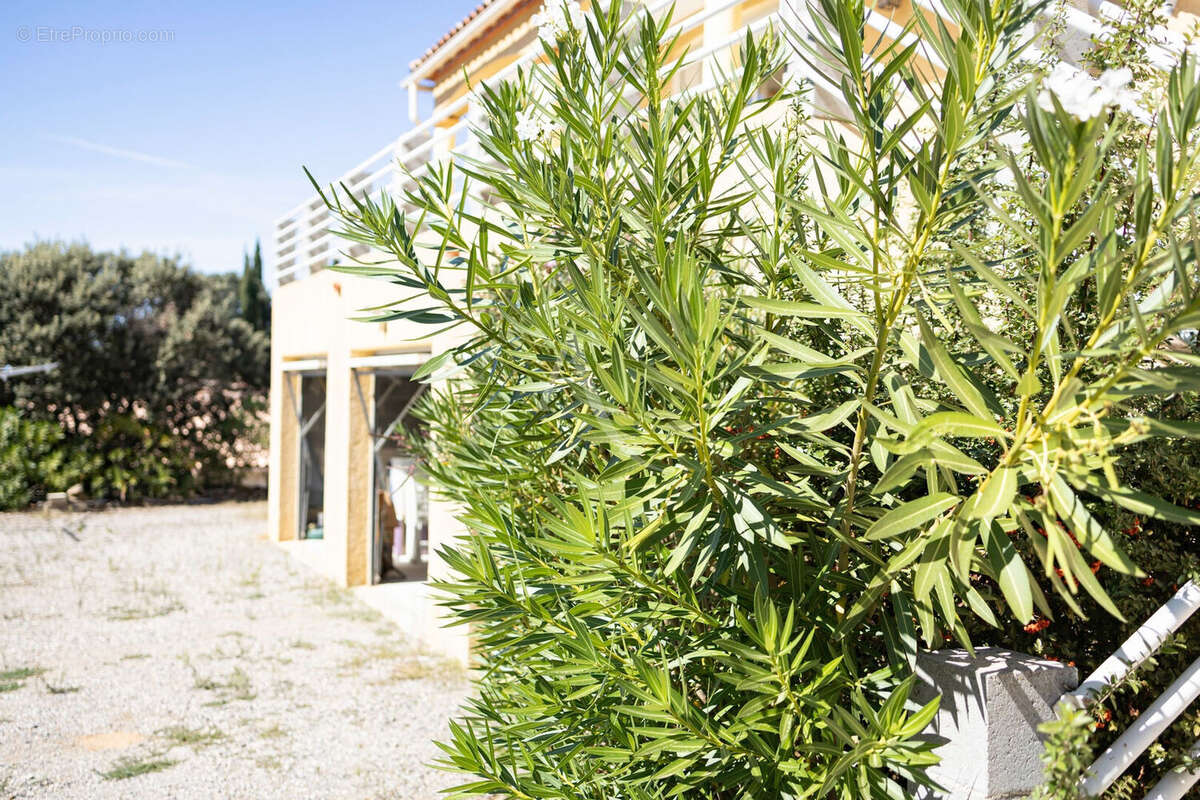 Maison à SAINT-ANDRE-DE-ROQUELONGUE