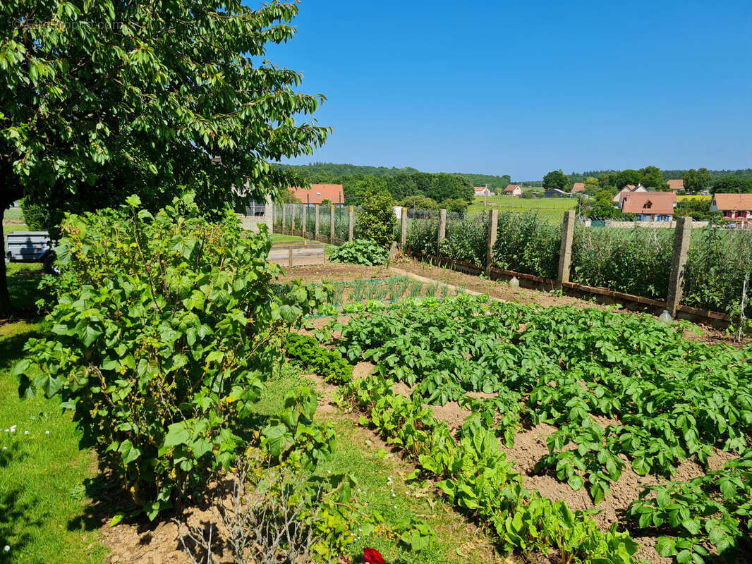 Maison à SAINT-PIERRE-EN-VAL