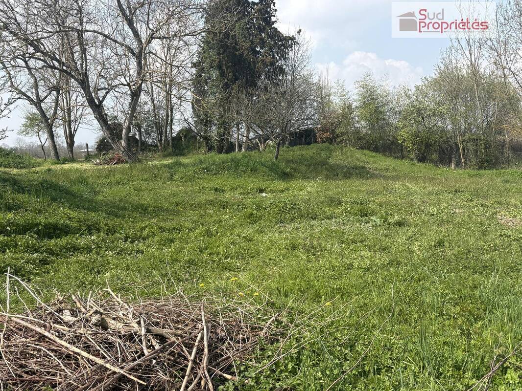 Terrain à VALENTINE