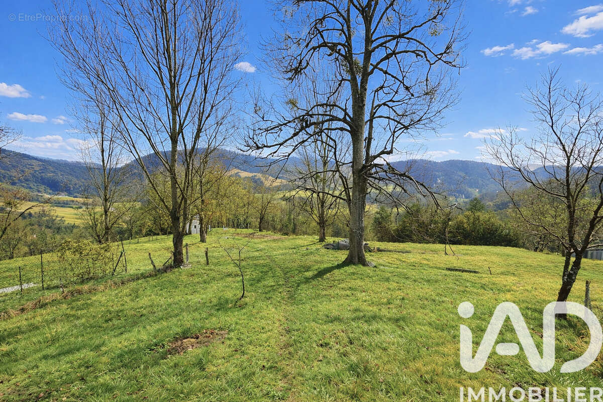 Photo 6 - Maison à LE MAS-D'AZIL