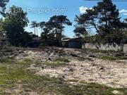 Photo 1 - Terrain à VENDAYS-MONTALIVET