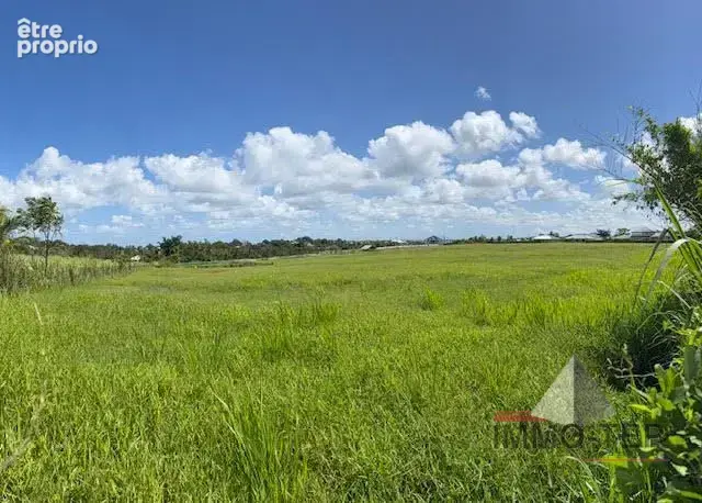 Terrain 18841 m² à Baie-Mahault  - photo 6