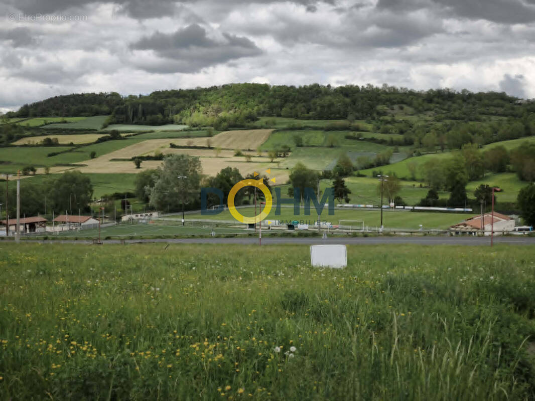 Terrain à POLIGNAC