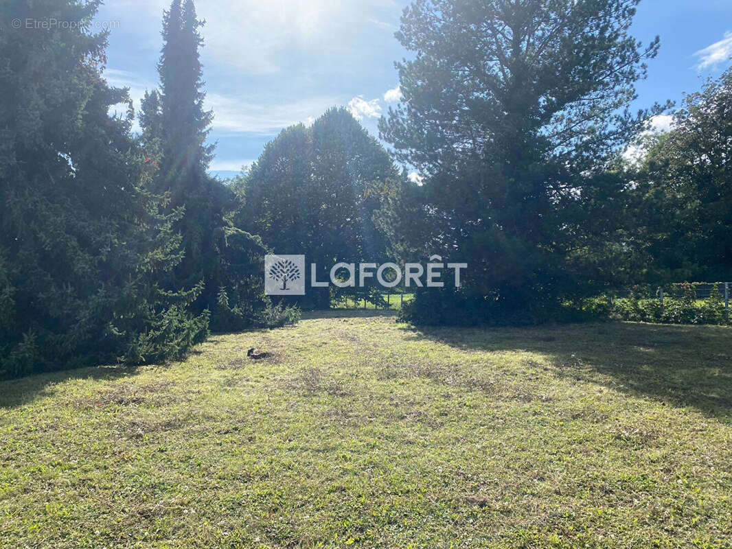 Maison à MITTELHAUSBERGEN