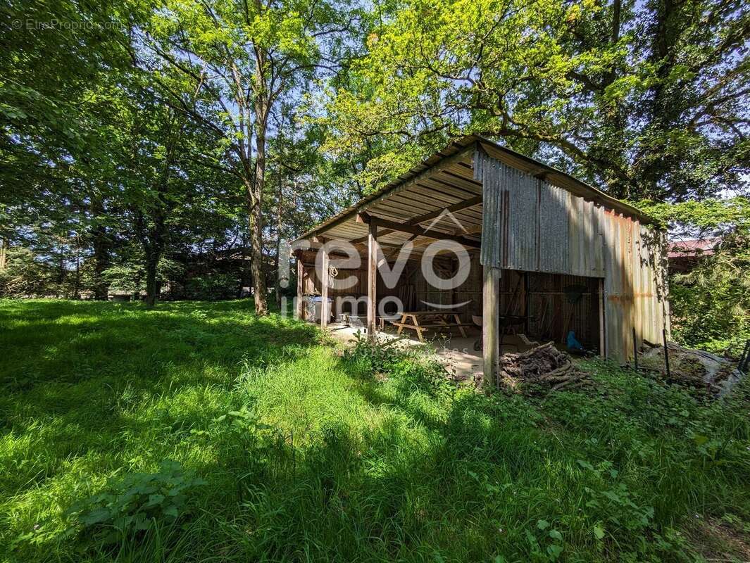 Terrain à SAINT-COLOMBAN