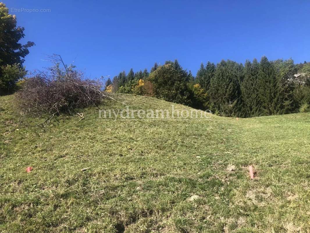 Terrain à SAINT-NICOLAS-LA-CHAPELLE