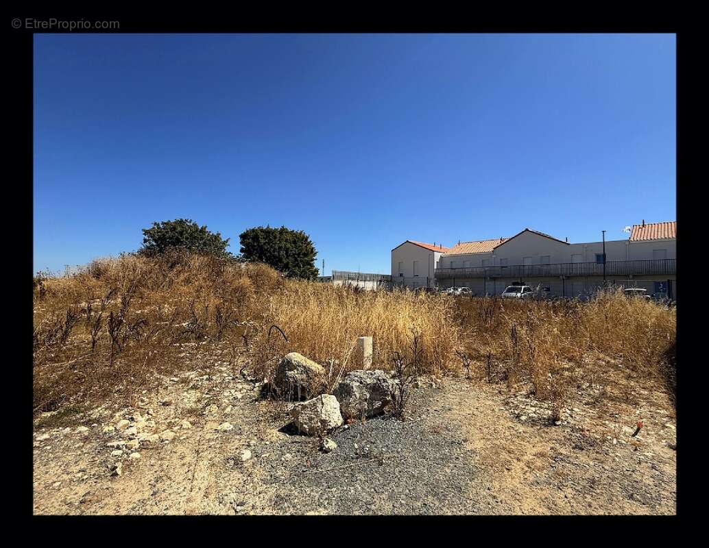 Terrain à vendre à Clavette (17220) - photo 5