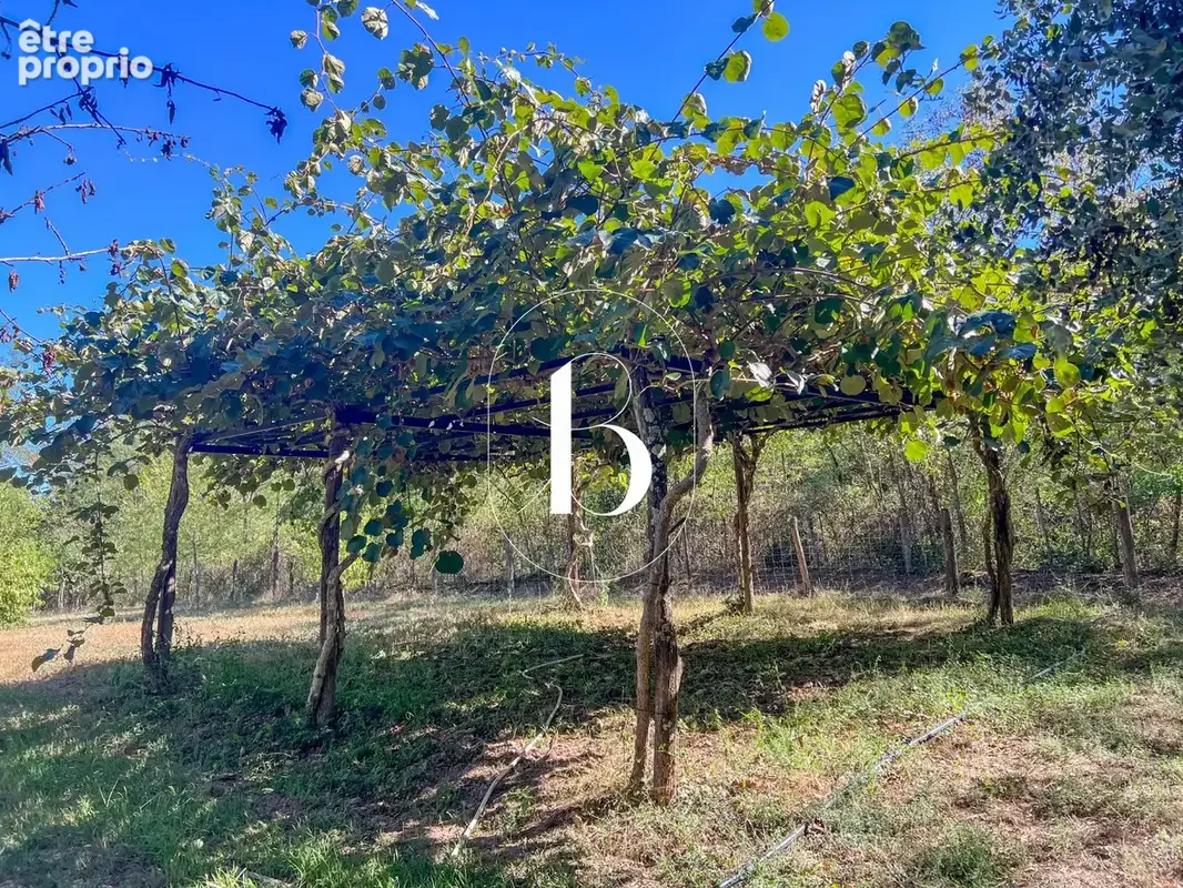 Un mas au cur de 5 hectares, entre histoire et nature en basse Cévennes - photo 31