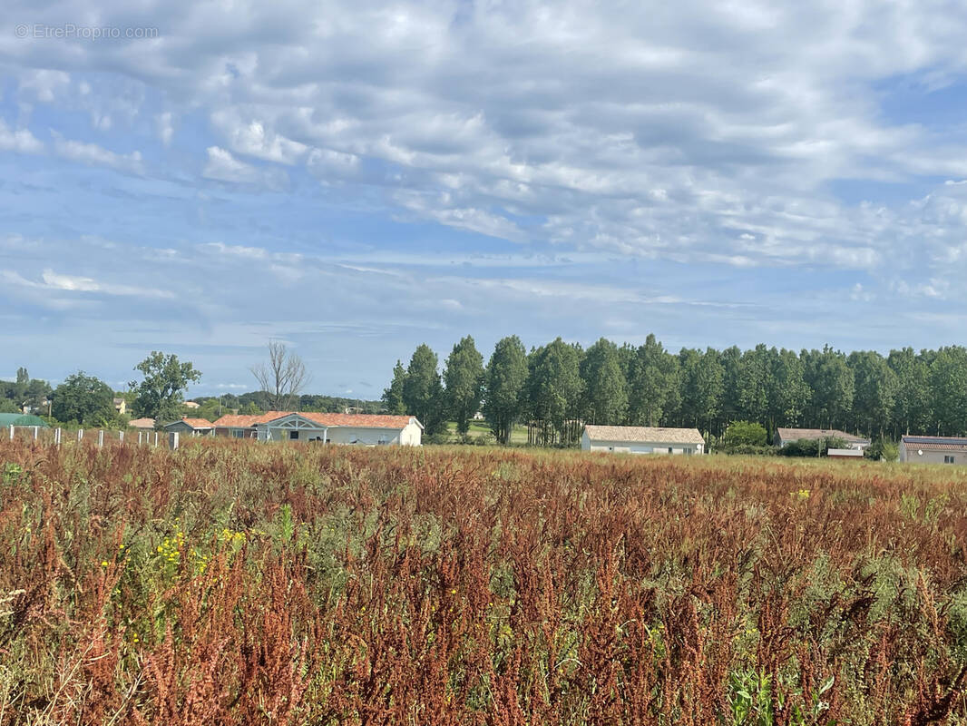 Terrain à CASTELJALOUX