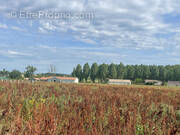 Terrain à CASTELJALOUX