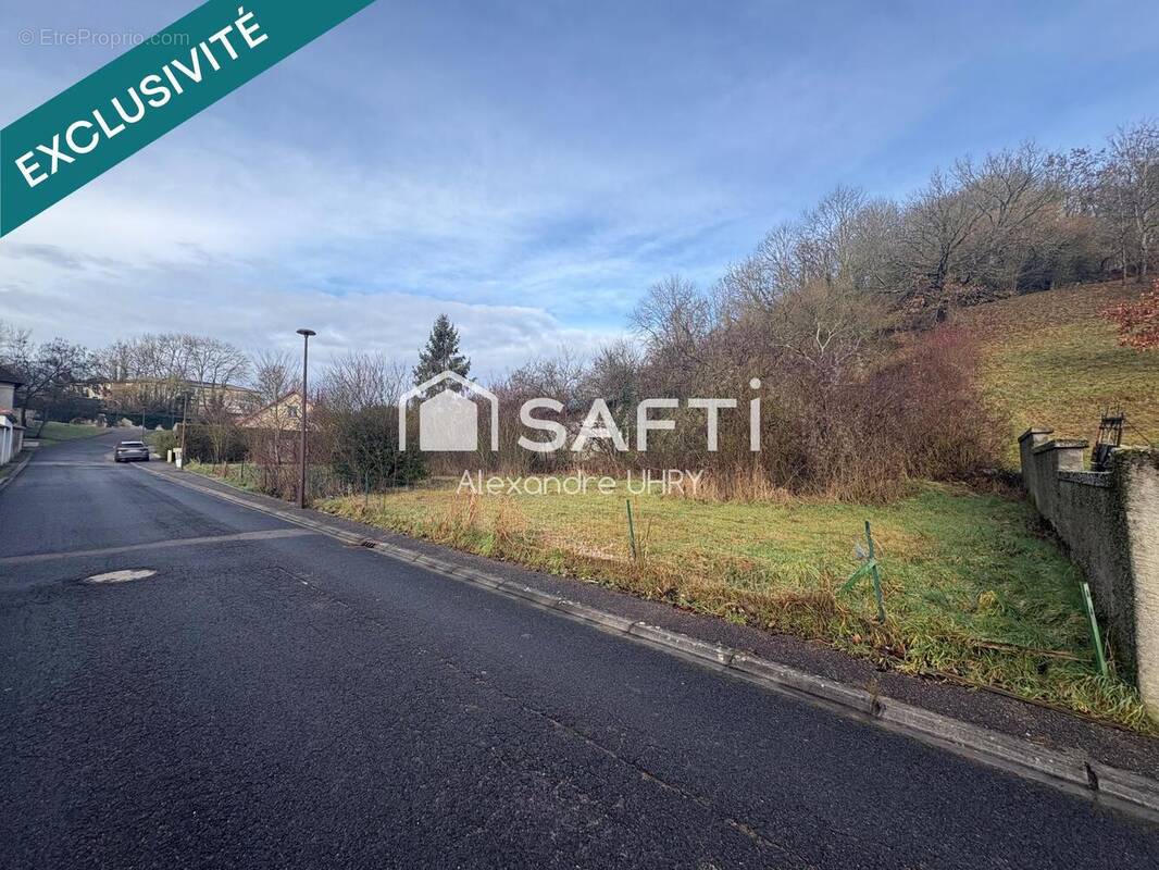 Photo 1 - Terrain à THIAUCOURT-REGNIEVILLE