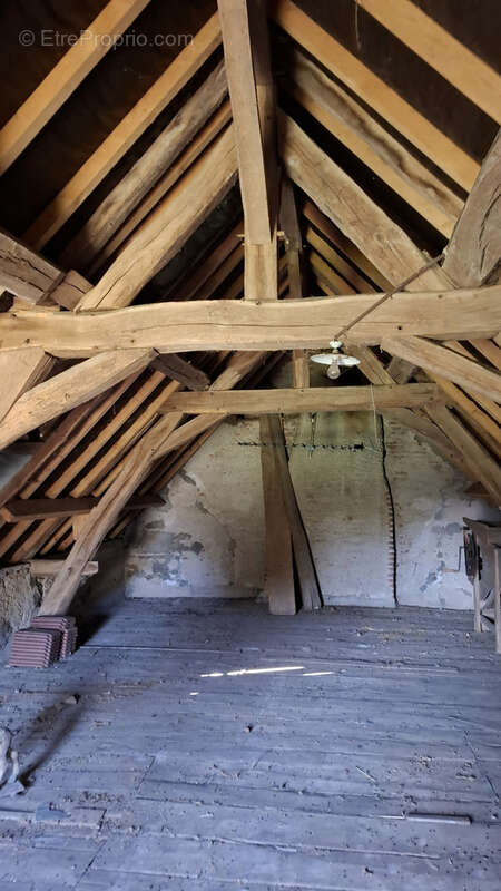 Maison à TOULON-SUR-ALLIER