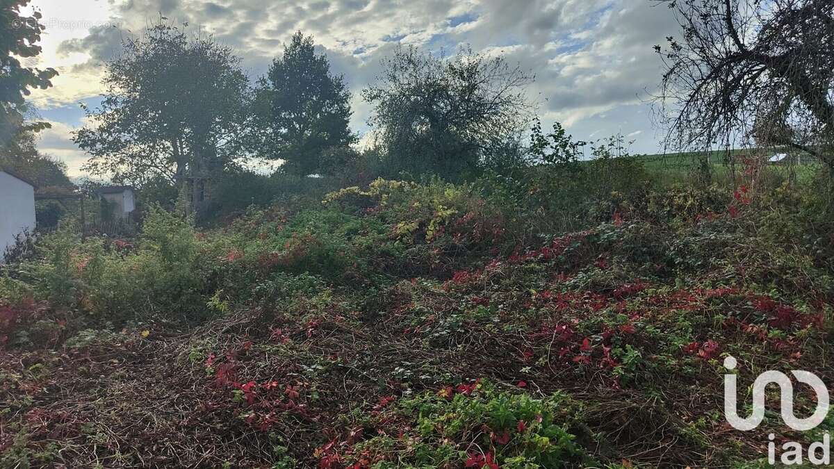 Photo 2 - Terrain à SAINT-MAURICE-THIZOUAILLE